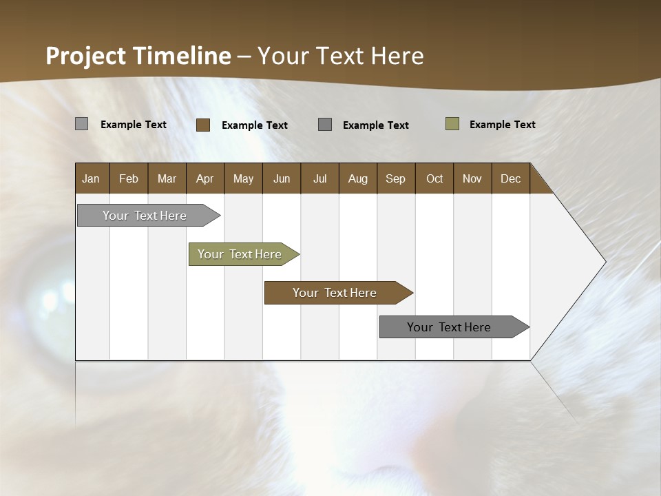 Meow PowerPoint Template