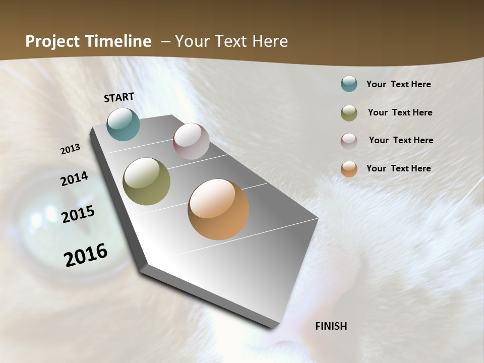 Meow PowerPoint Template