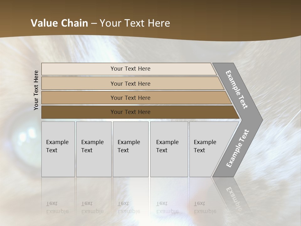 Meow PowerPoint Template