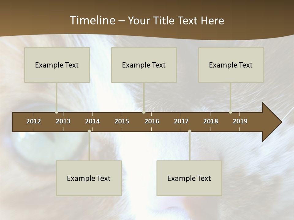 Meow PowerPoint Template