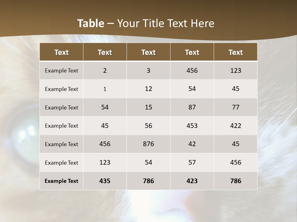 Meow PowerPoint Template