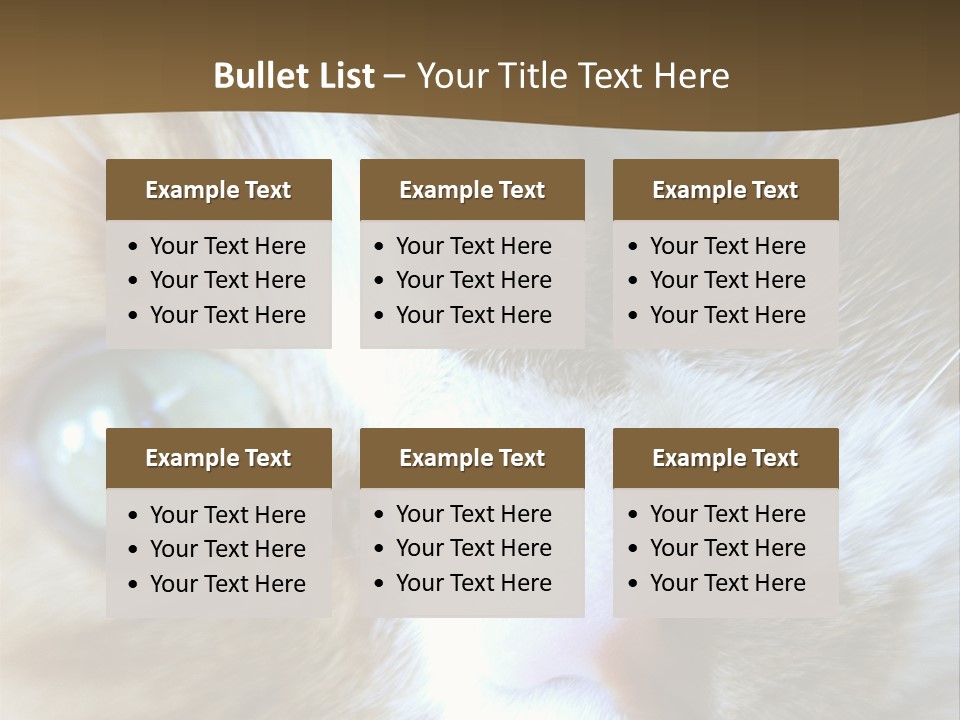 Meow PowerPoint Template