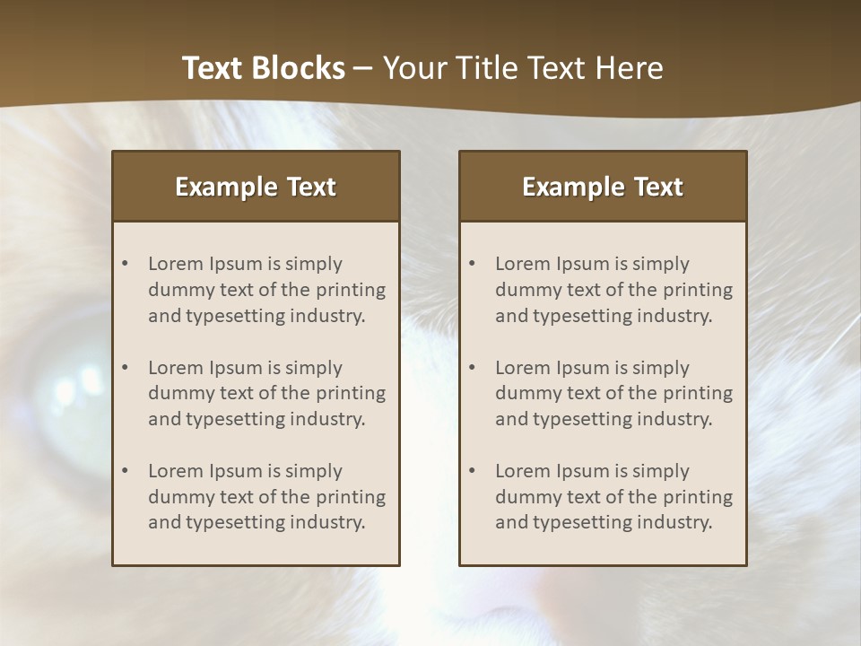 Meow PowerPoint Template