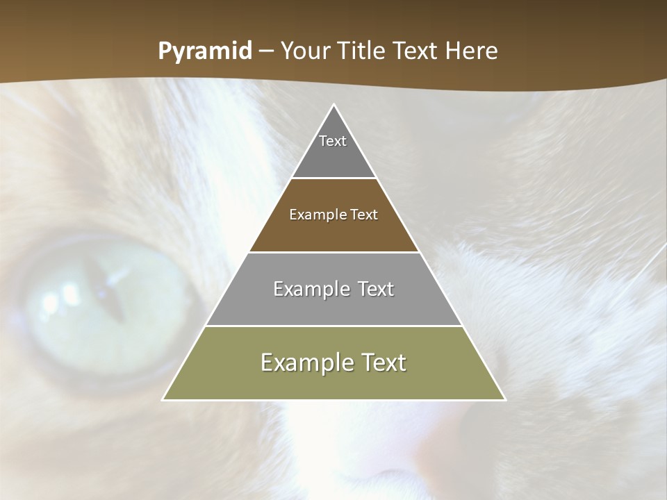 Meow PowerPoint Template