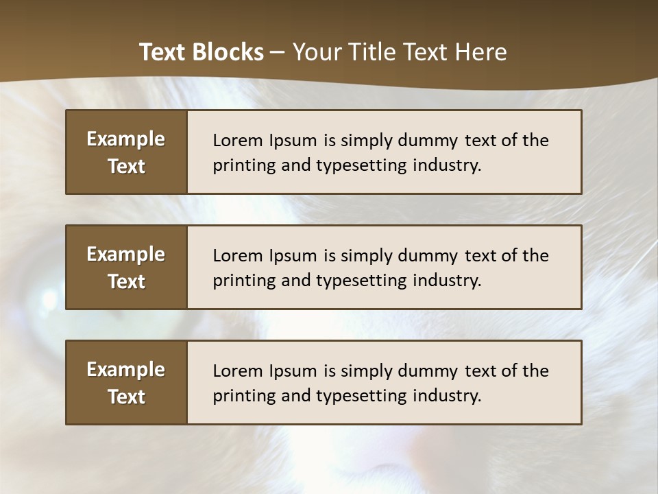 Meow PowerPoint Template