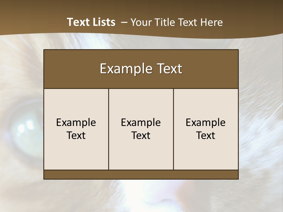 Meow PowerPoint Template
