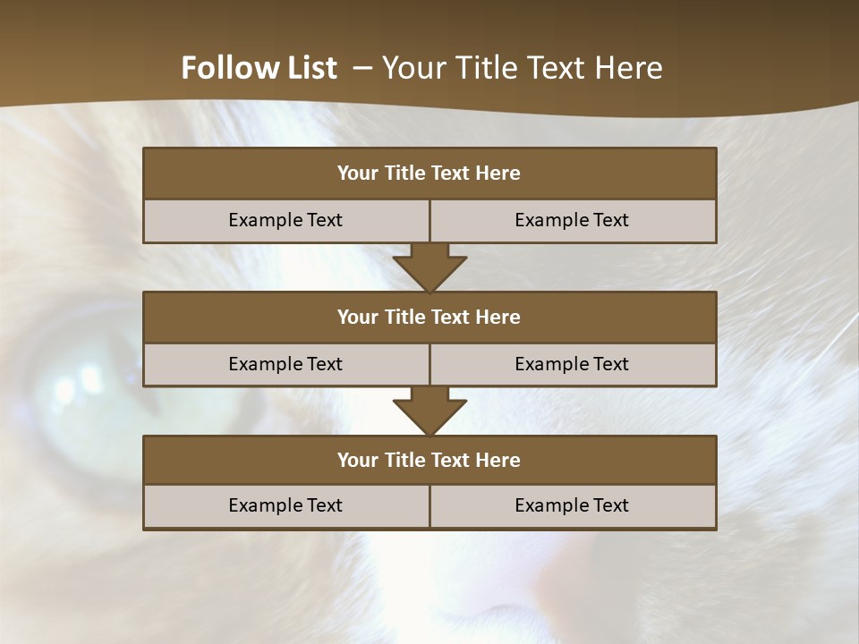 Meow PowerPoint Template