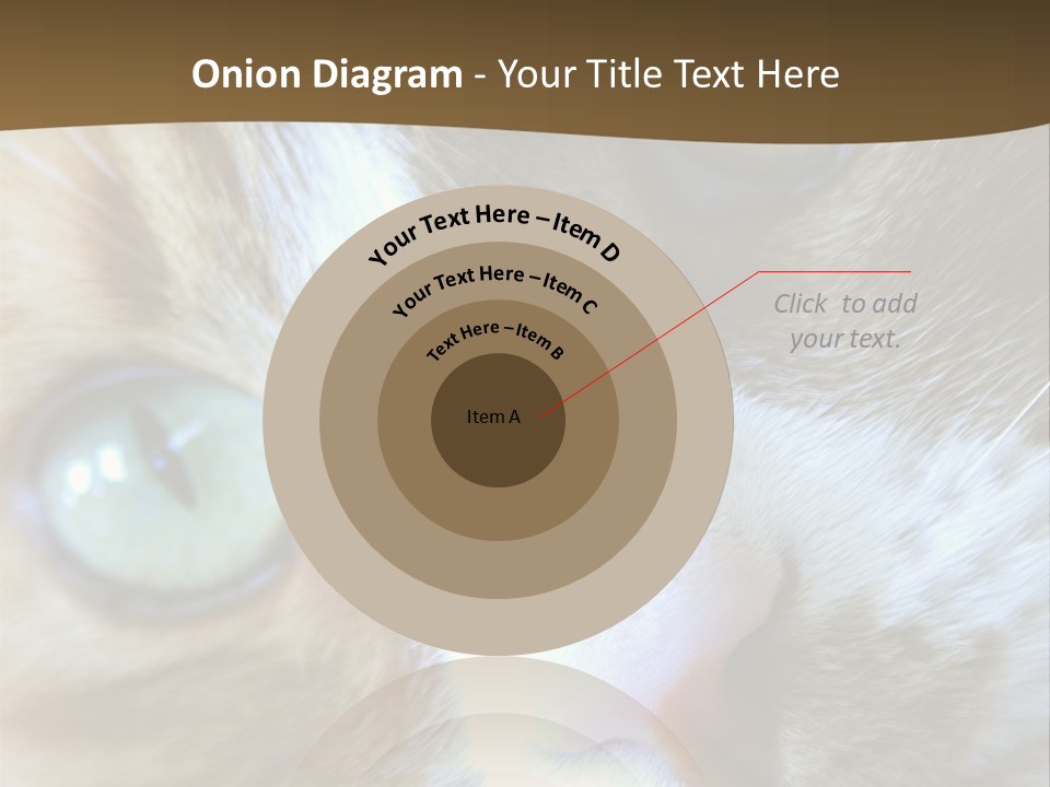 Meow PowerPoint Template
