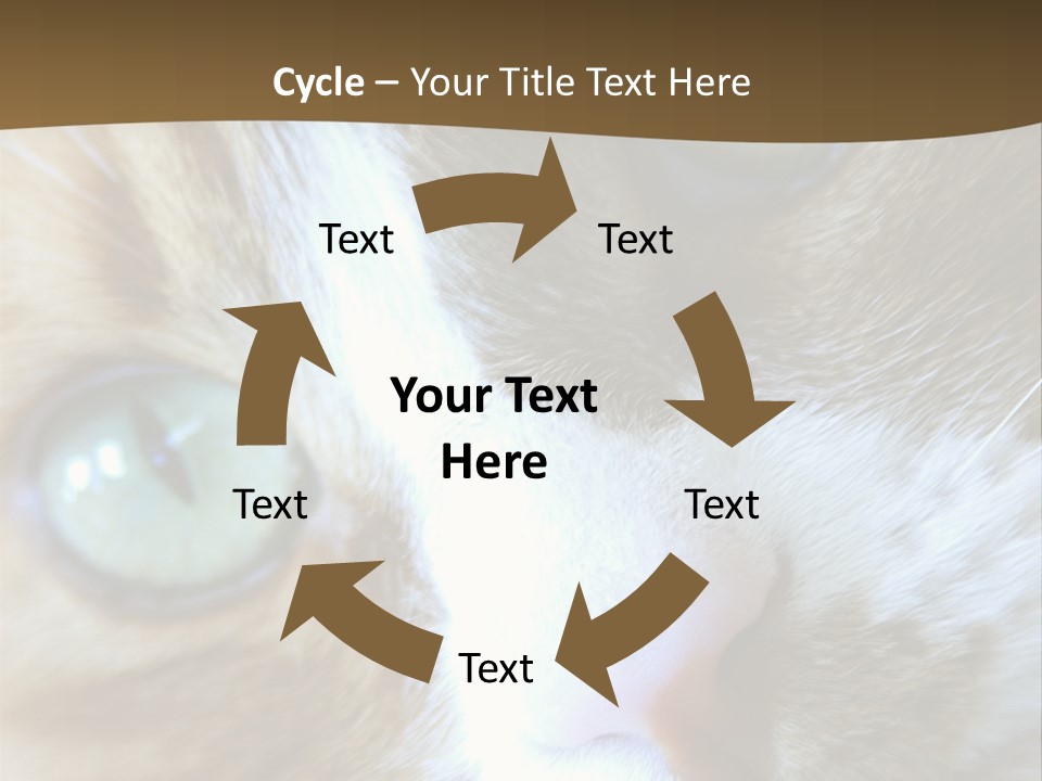 Meow PowerPoint Template