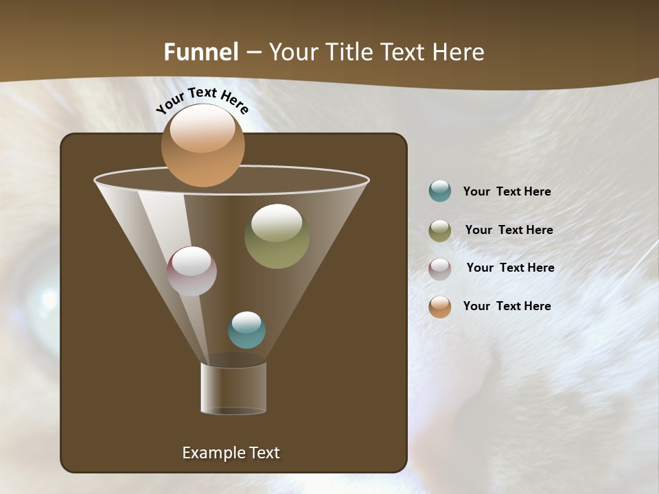 Meow PowerPoint Template