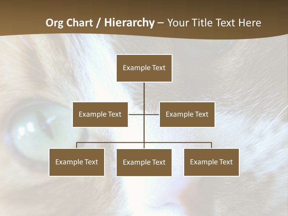 Meow PowerPoint Template