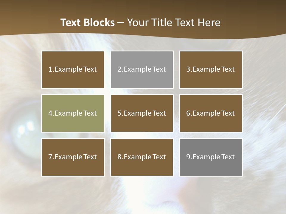 Meow PowerPoint Template