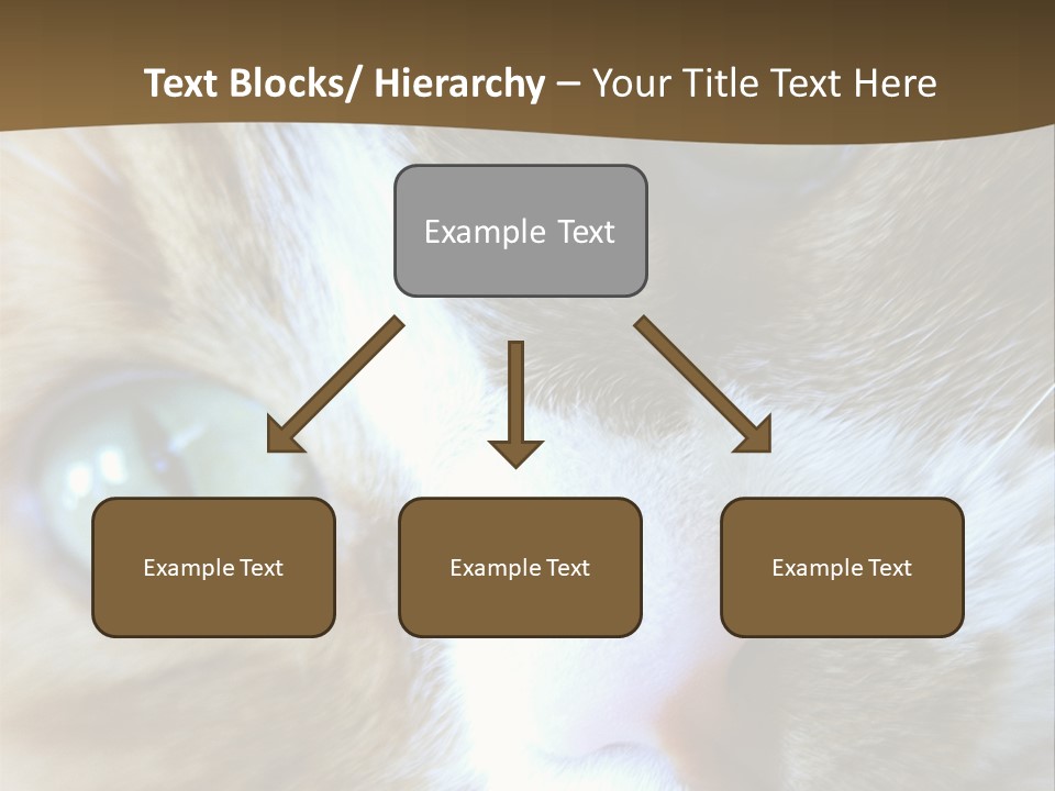 Meow PowerPoint Template