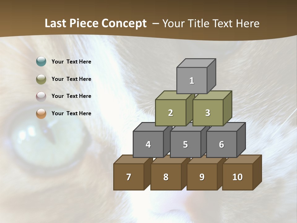 Meow PowerPoint Template