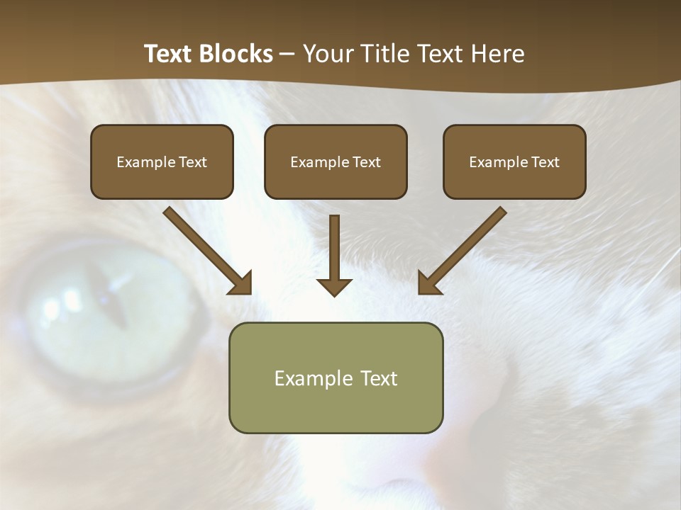 Meow PowerPoint Template