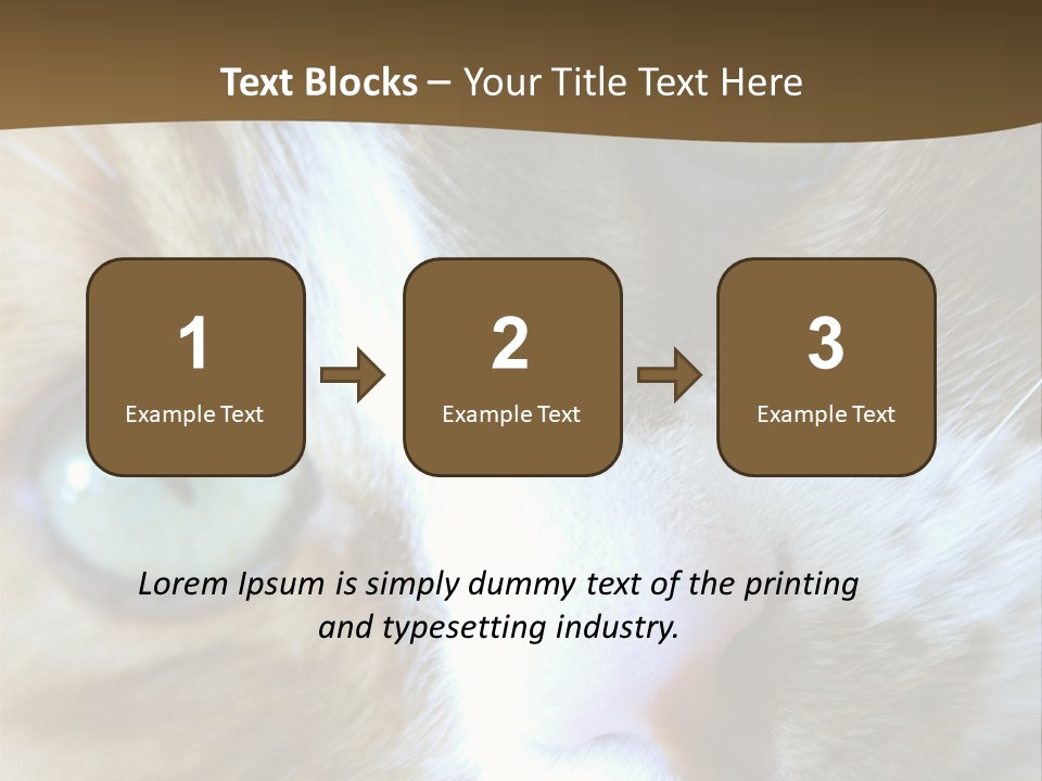 Meow PowerPoint Template