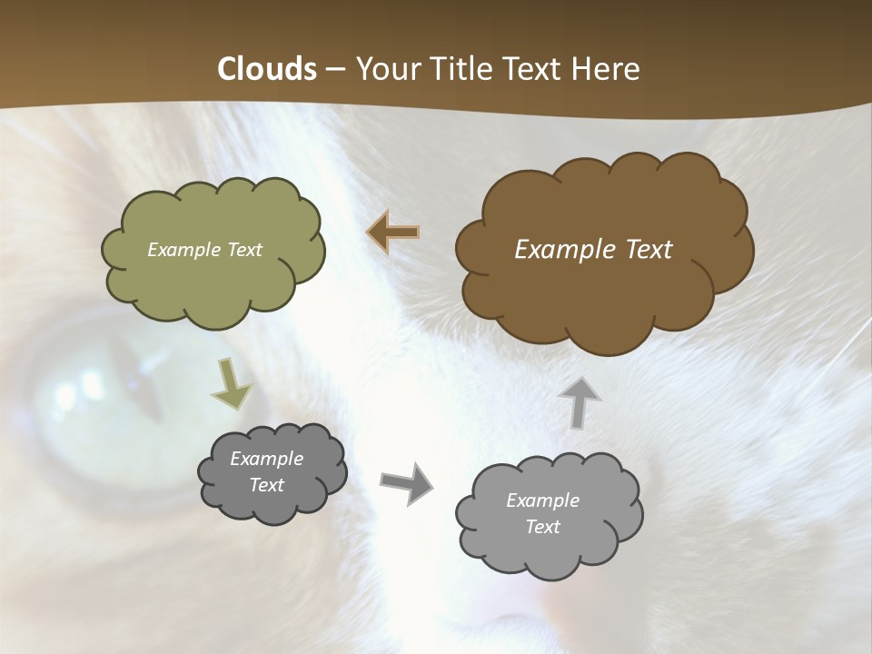 Meow PowerPoint Template