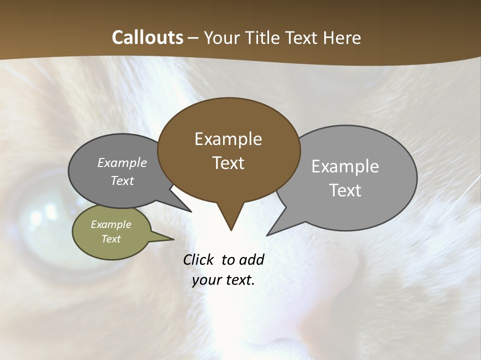 Meow PowerPoint Template