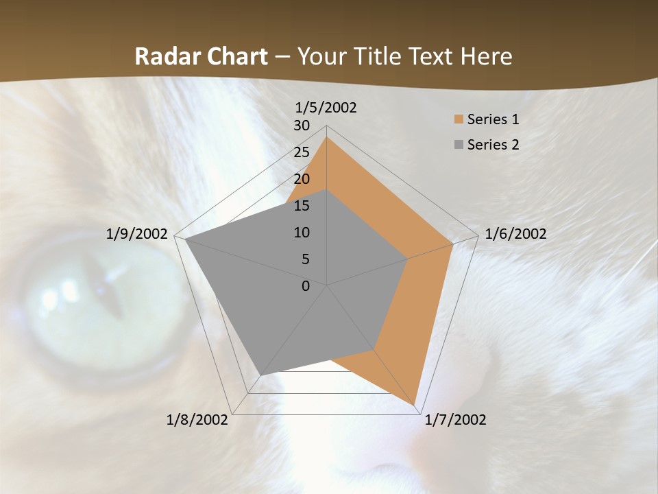 Meow PowerPoint Template