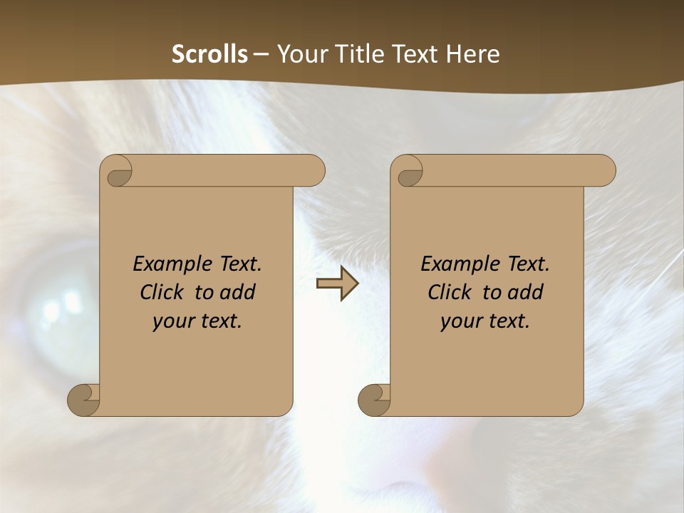 Meow PowerPoint Template