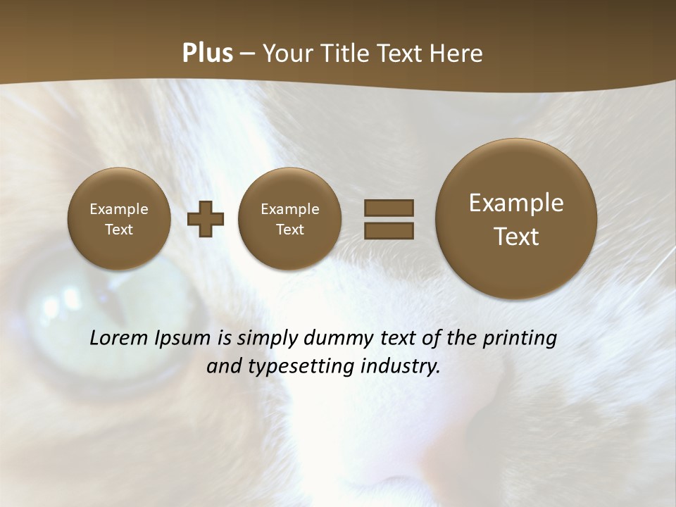 Meow PowerPoint Template