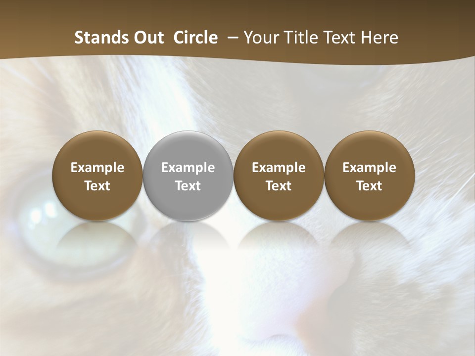 Meow PowerPoint Template
