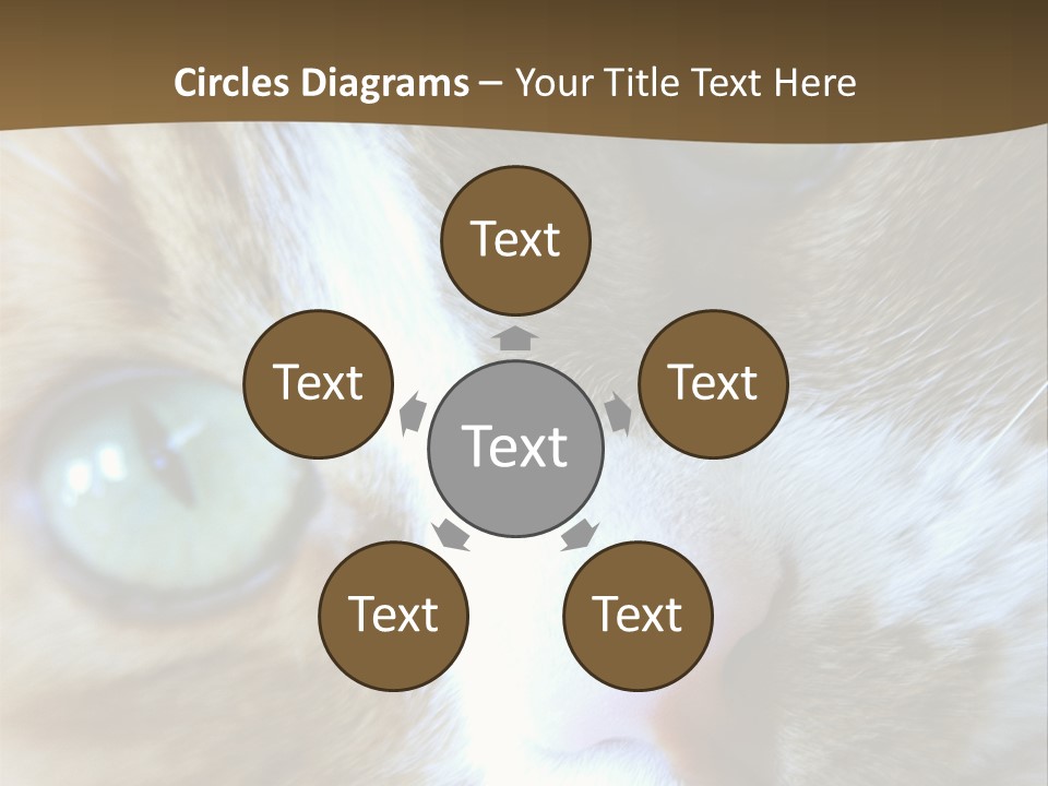 Meow PowerPoint Template