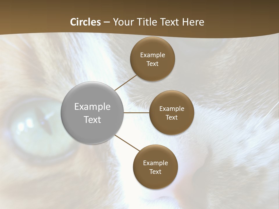 Meow PowerPoint Template