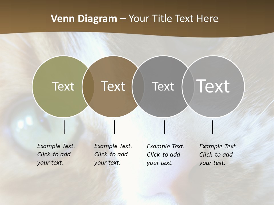 Meow PowerPoint Template