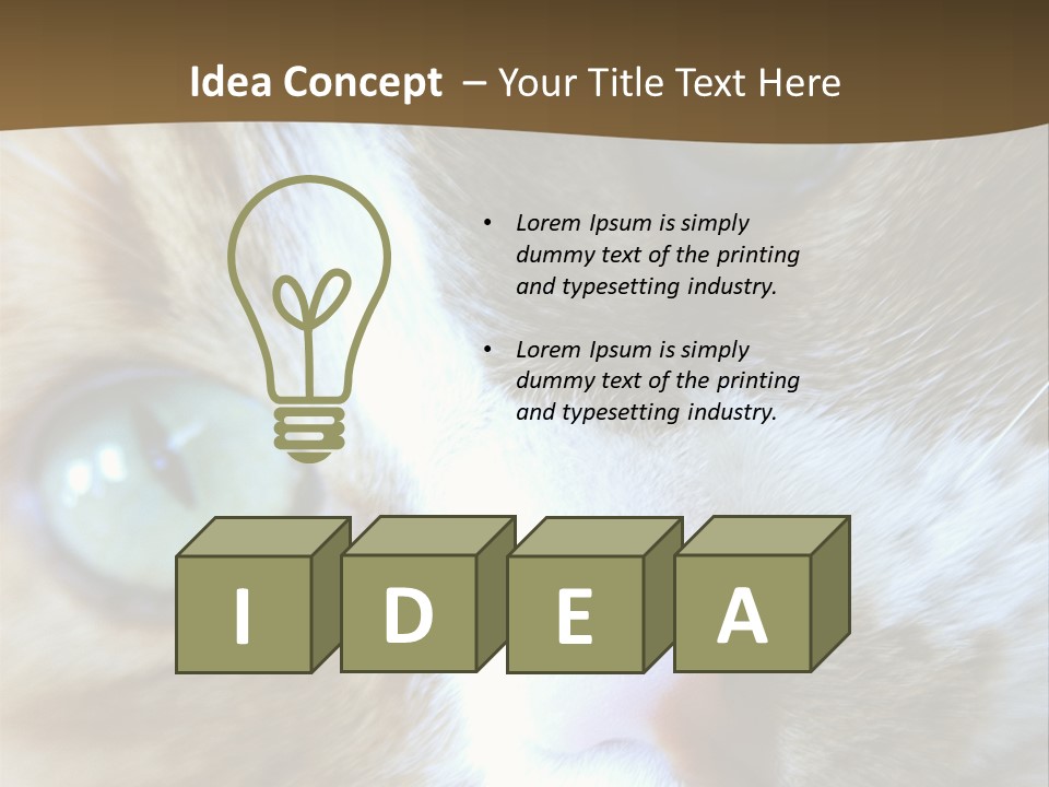 Meow PowerPoint Template