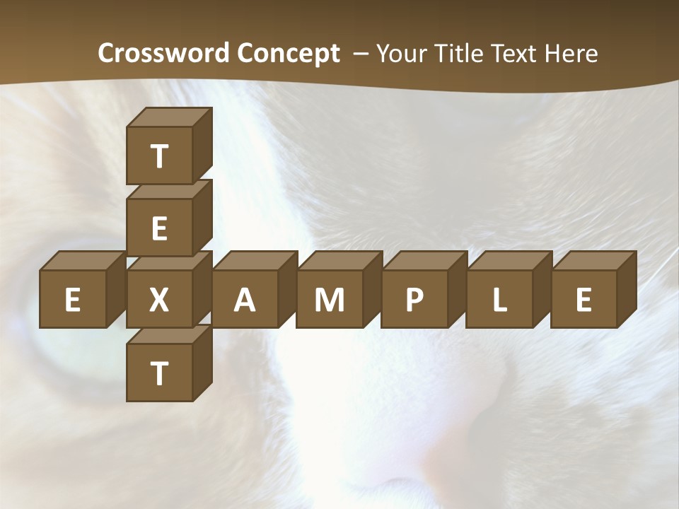 Meow PowerPoint Template