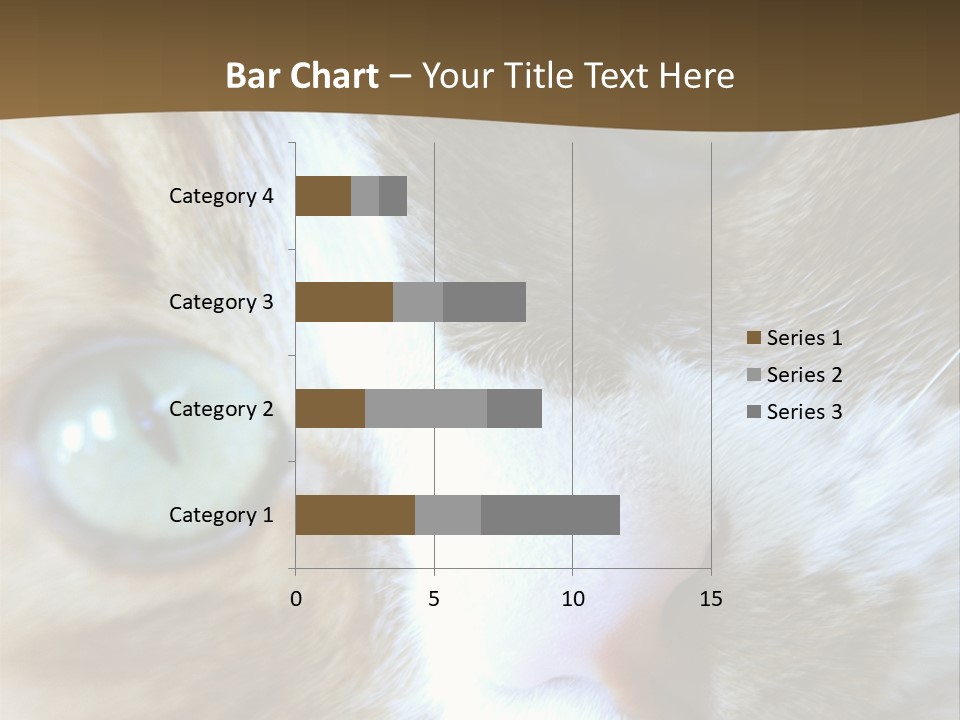 Meow PowerPoint Template