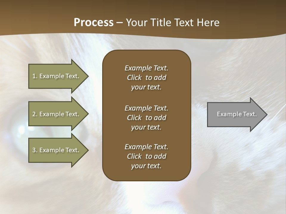 Meow PowerPoint Template