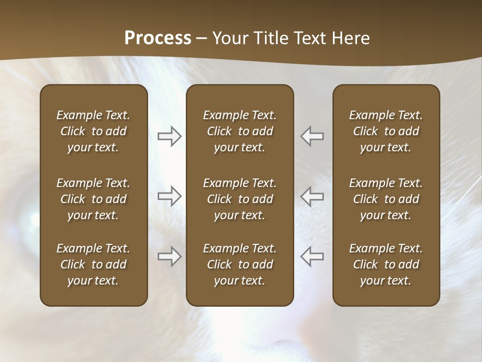 Meow PowerPoint Template