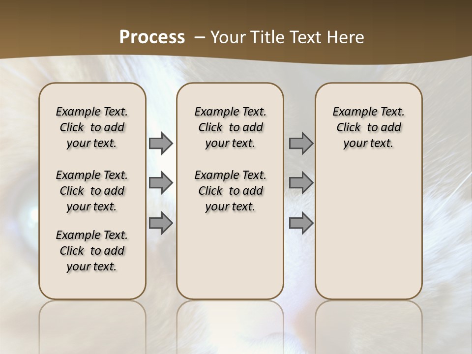 Meow PowerPoint Template