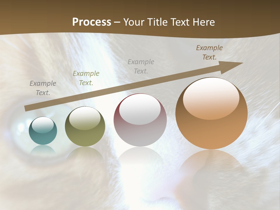 Meow PowerPoint Template