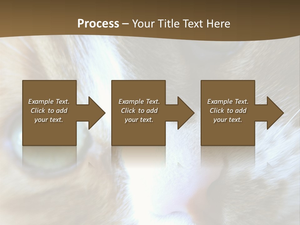 Meow PowerPoint Template