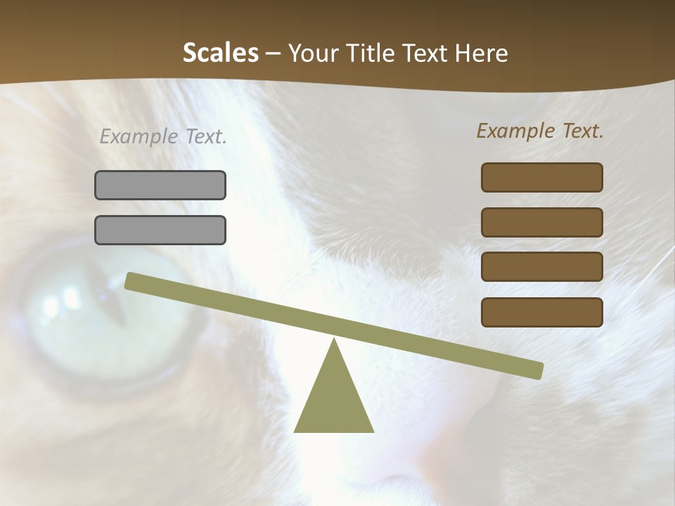 Meow PowerPoint Template
