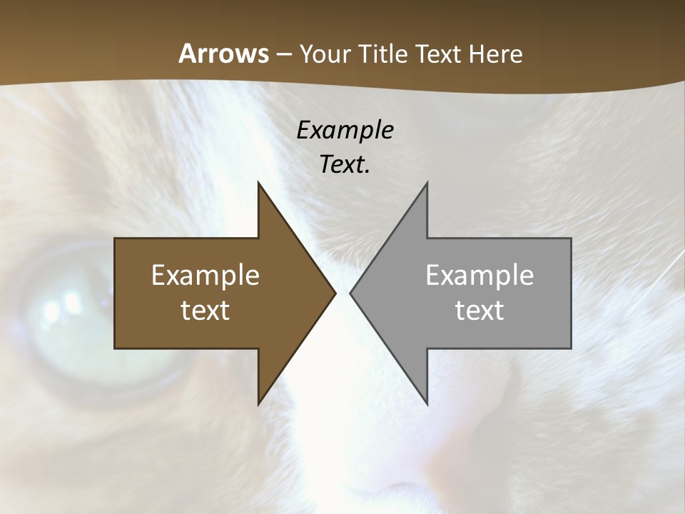 Meow PowerPoint Template