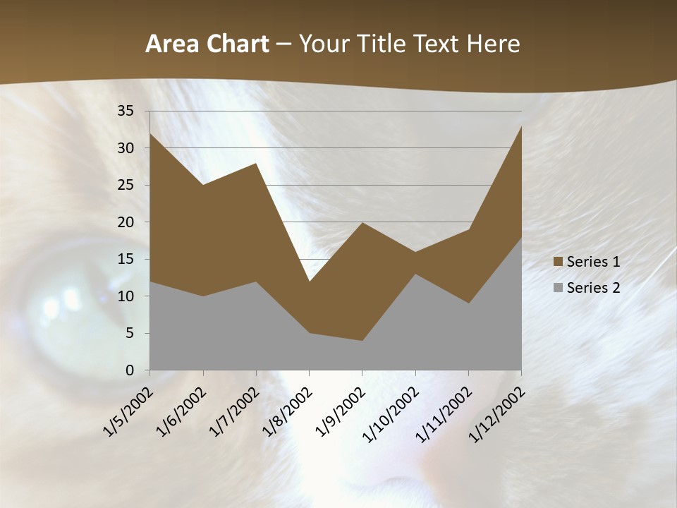 Meow PowerPoint Template