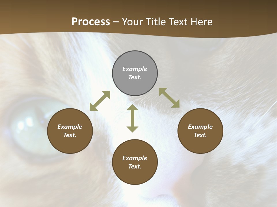 Meow PowerPoint Template