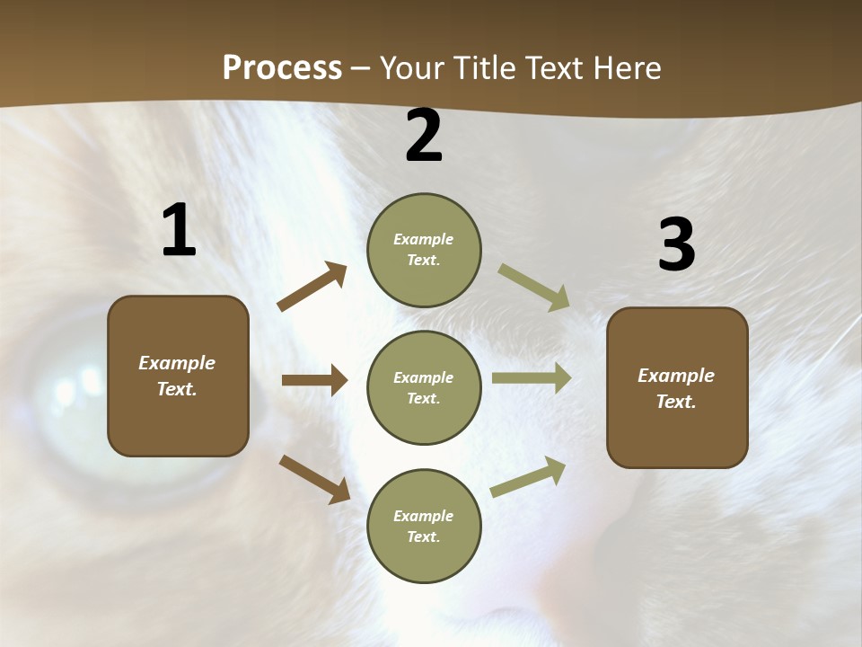 Meow PowerPoint Template