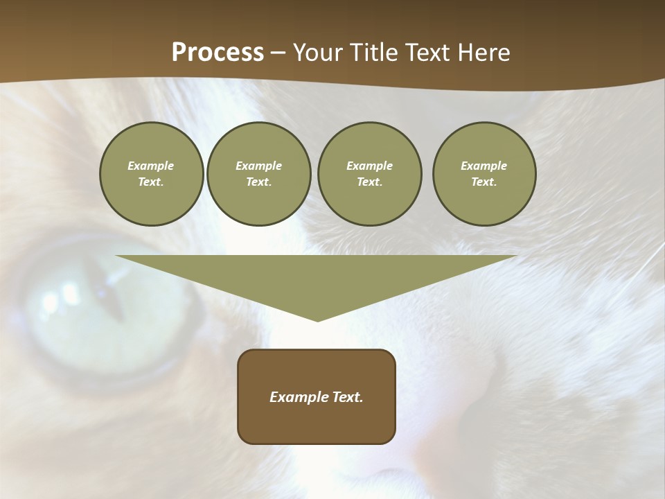 Meow PowerPoint Template