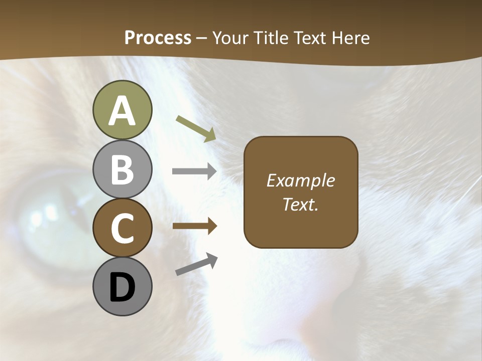 Meow PowerPoint Template