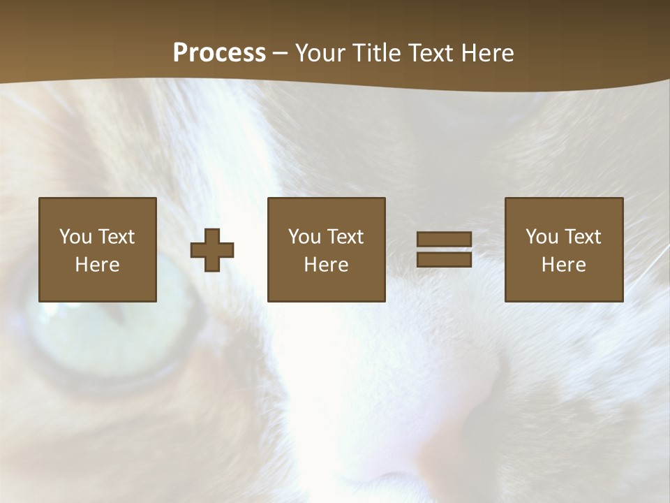Meow PowerPoint Template