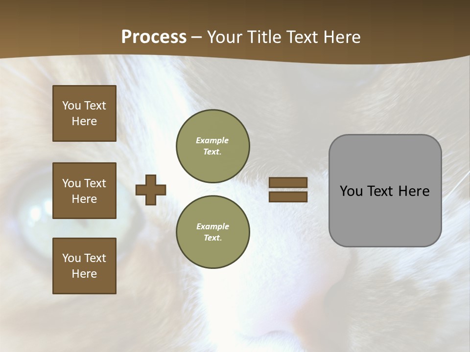 Meow PowerPoint Template