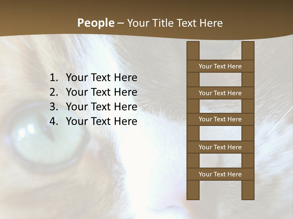 Meow PowerPoint Template