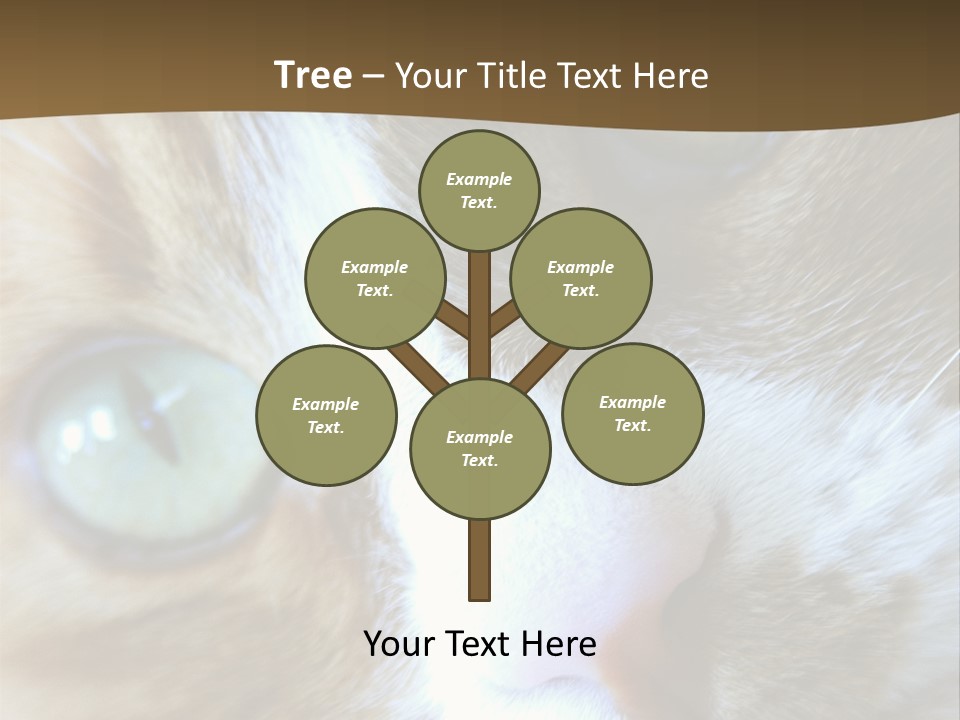 Meow PowerPoint Template