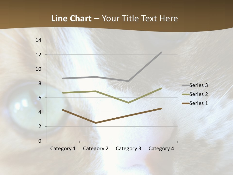 Meow PowerPoint Template