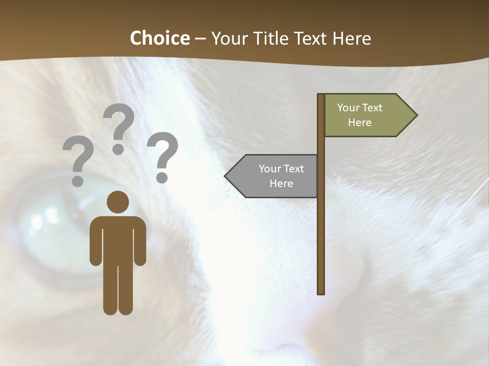 Meow PowerPoint Template